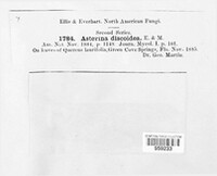 Image Associated With the Occurence